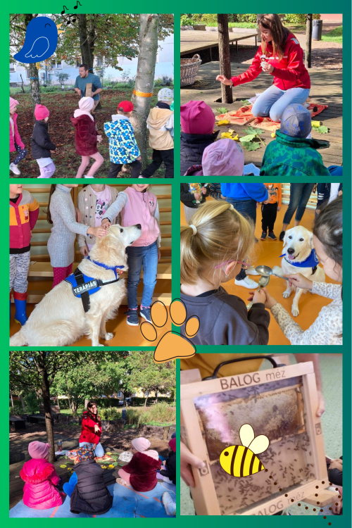 Állatok Világnapja