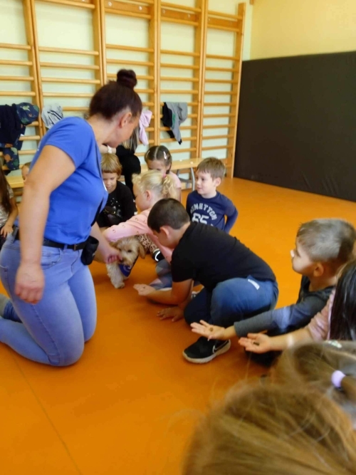 Állatok világnapja 2023